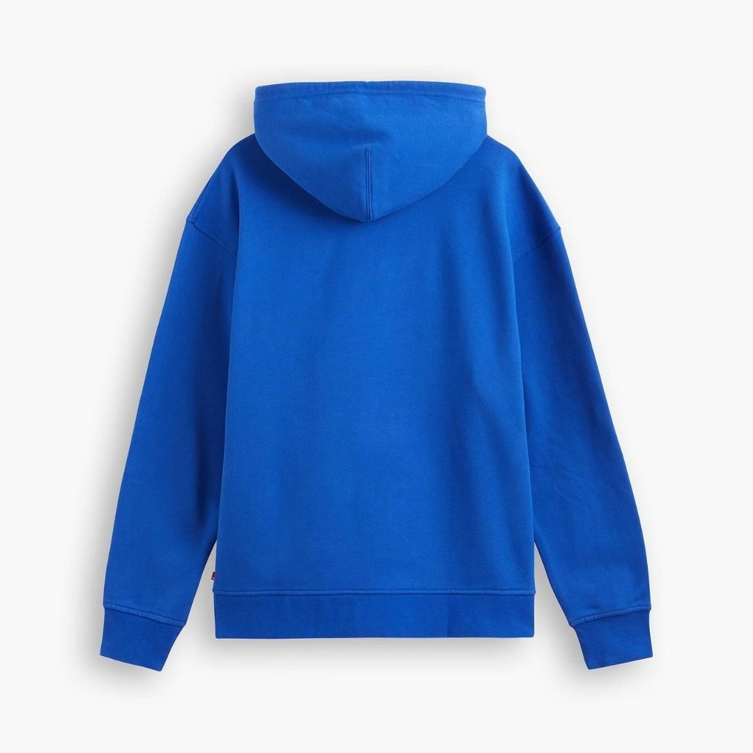 LEVI'S Relaxed Graphic Hoodie